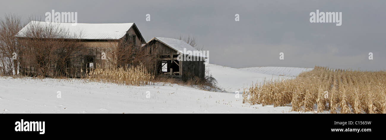 In inverno la neve campagna farm barn corn Foto Stock