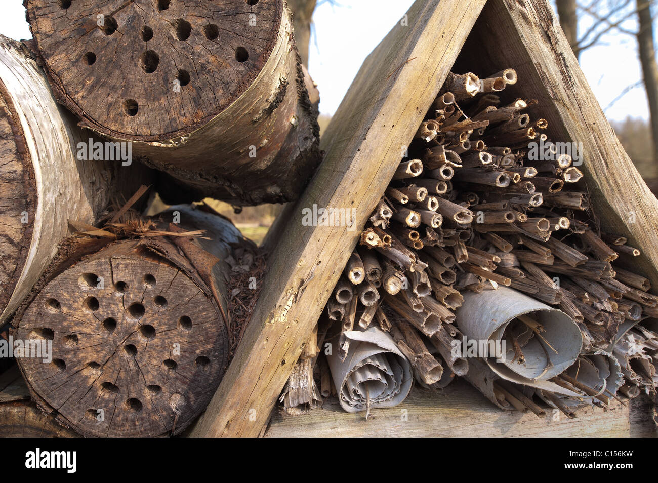 Mini bestia uomo fatto rifugio di habitat per la conservazione di aiuto di insetti invertebrati Foto Stock
