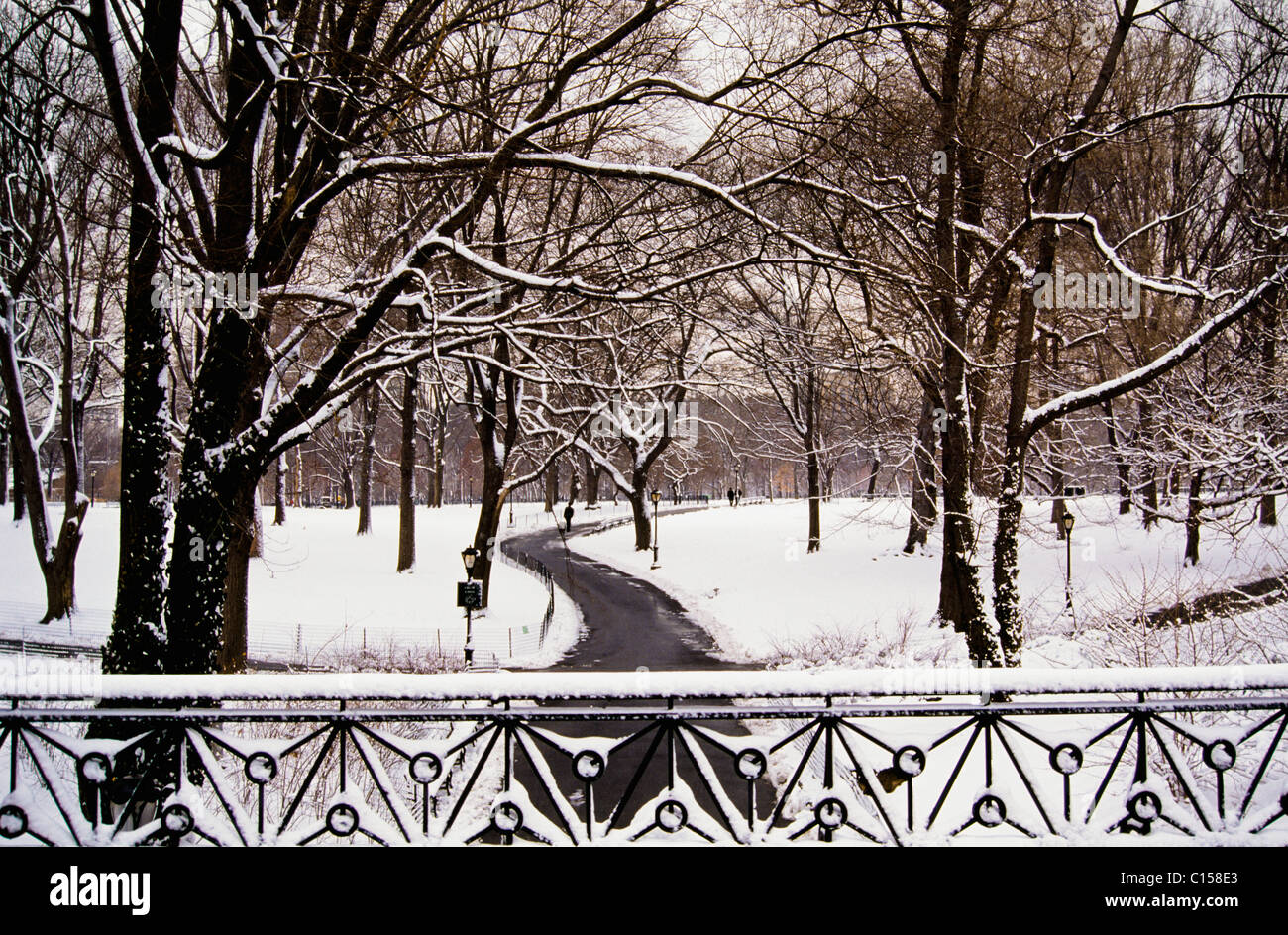 Neve a Central Park Foto Stock Neve a Central Park Foto Stock