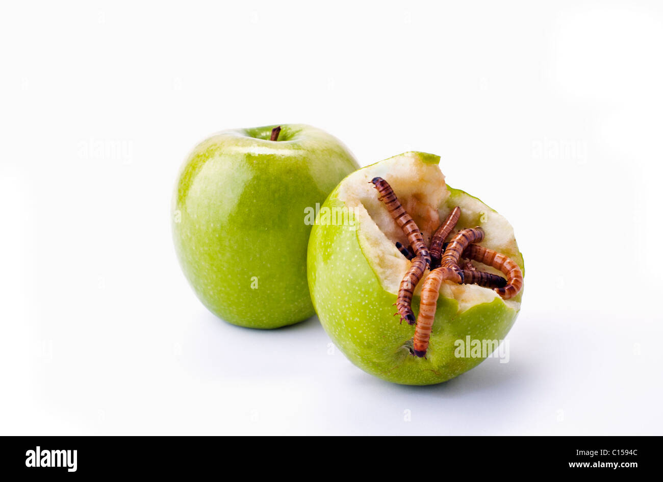 Due mele verdi, una metà mangiato con un worm strisciando fuori del centro. Foto Stock