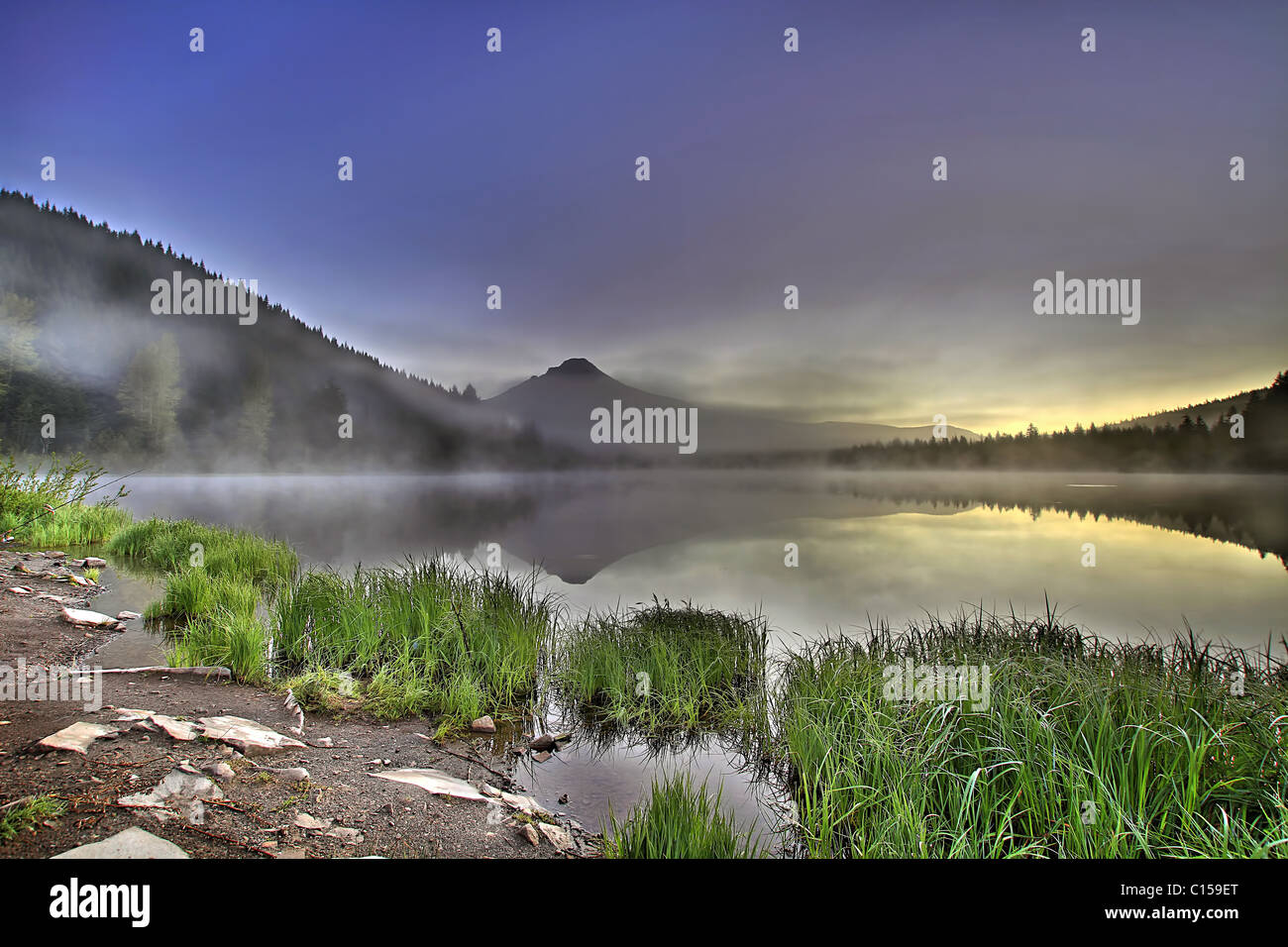 Foggy Sunrise a Trillium Lago con il monte Cofano Oregon Foto Stock