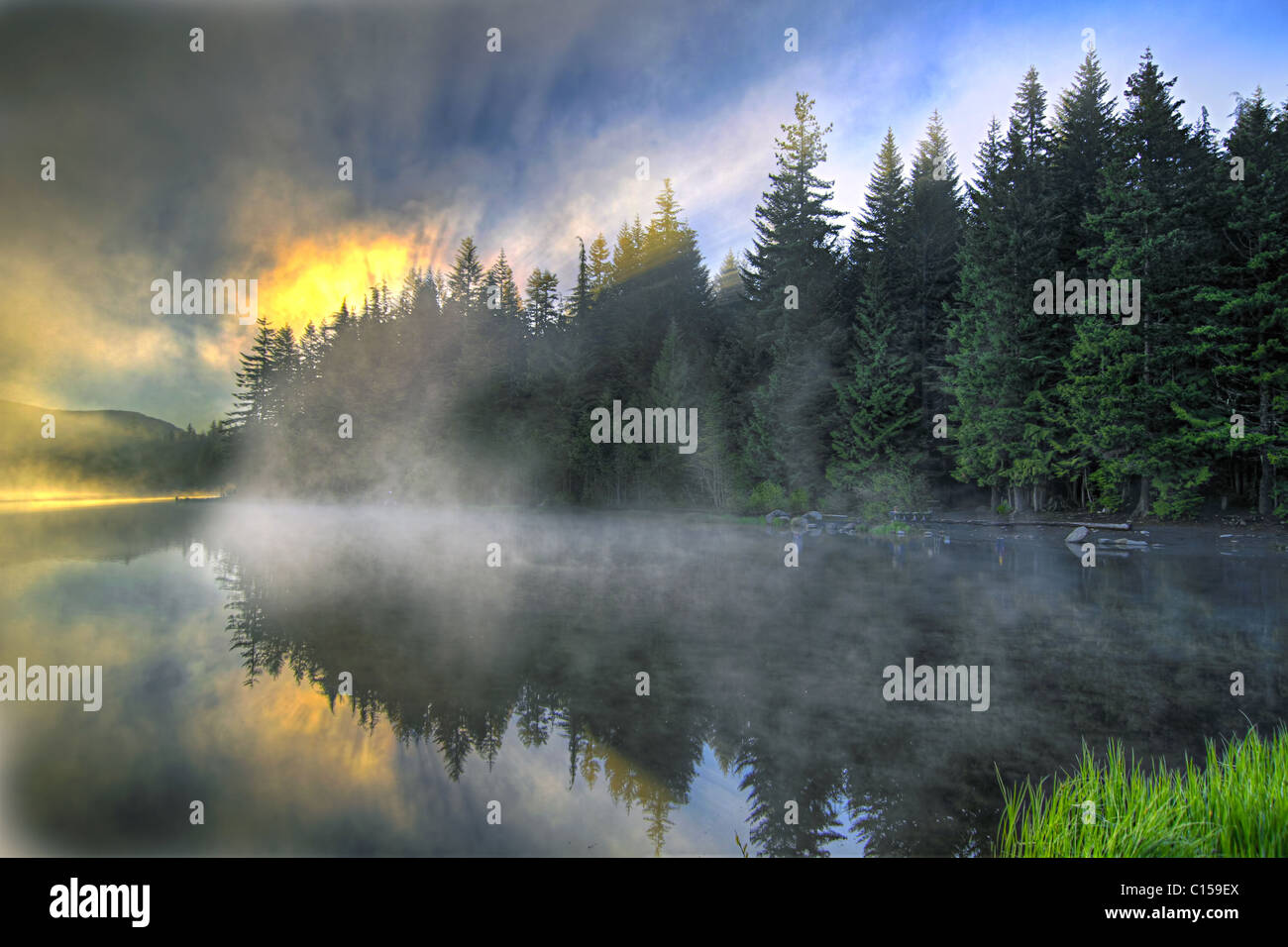 Sunrise e di riflessione su Trillium Lago Oregon Foto Stock