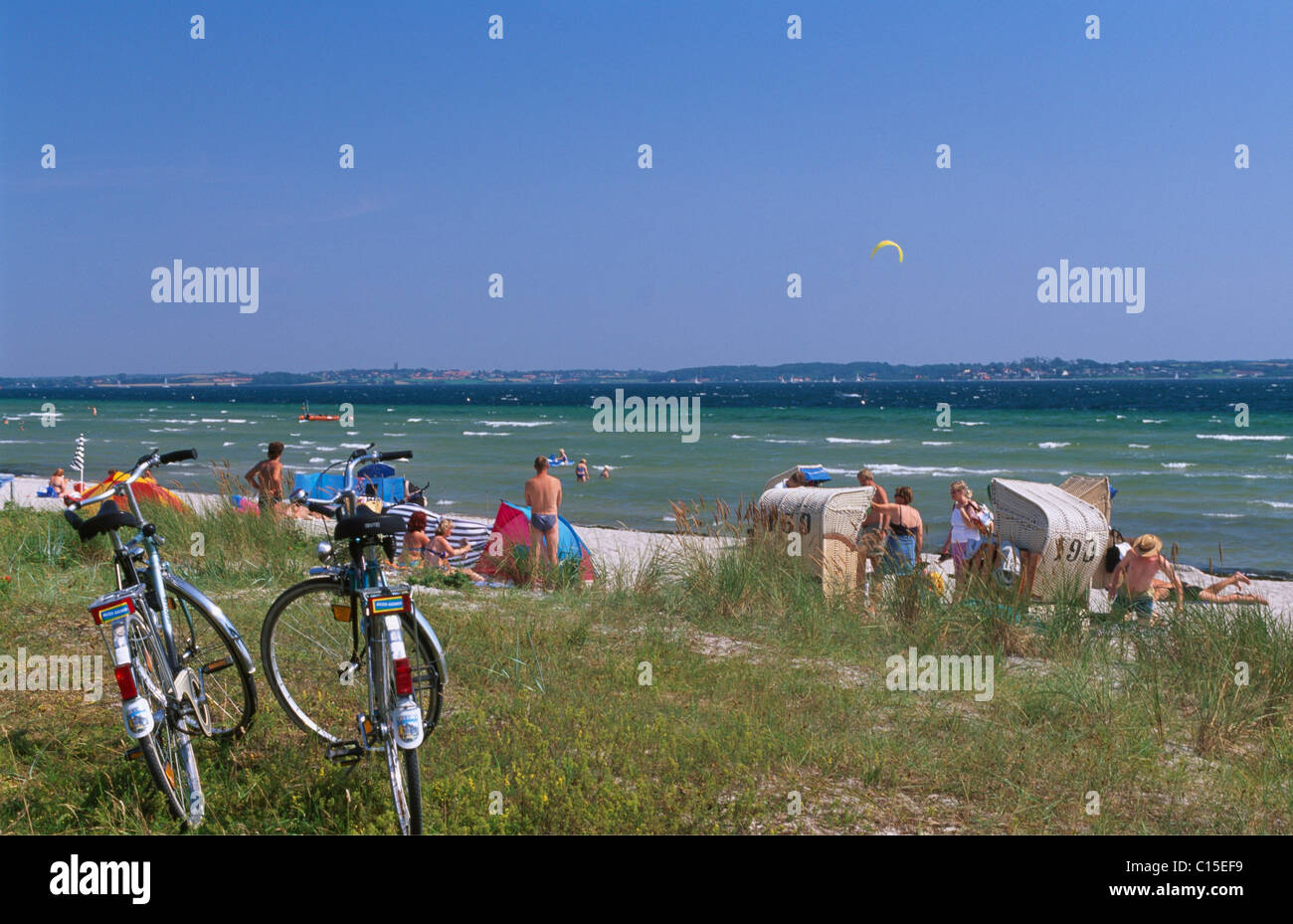 Spiaggia di Holnis vicino a Glücksburg, Schleswig-Holstein, Germania, Europa Foto Stock