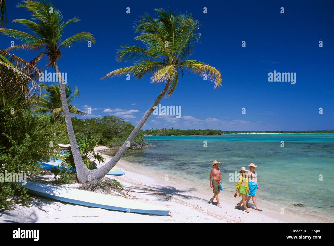 I turisti, lucertole da mare, Bahia de Punta Solinam, Riviera Maya Riviera Maya, Yucatan, Messico, America del Nord Foto Stock