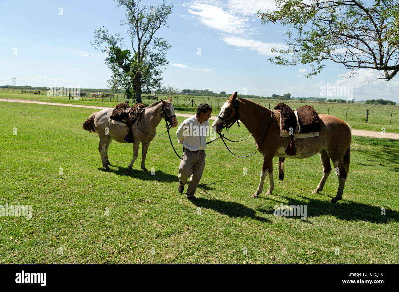 Ranch (estancia) La Bamba, San Antonio de Areco, provincia di Buenos Aires, Argentina Foto Stock