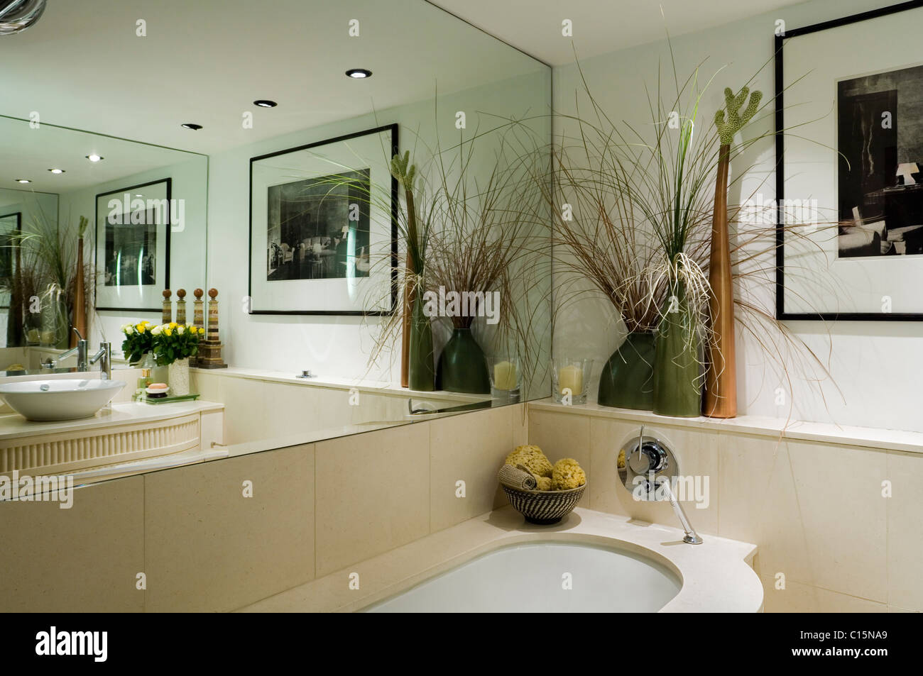 Grande specchio in bagno con illustrazioni, erbe e vasca da bagno Foto Stock