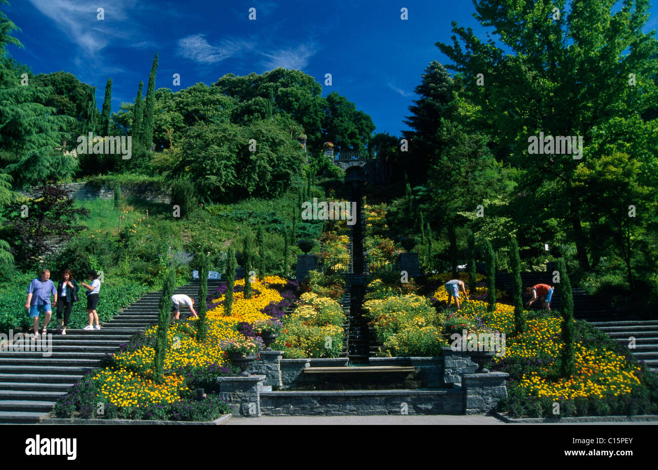 Insel Mainau, Isola di Mainau, Lago di Costanza, Baden-Wuerttemberg, Germania Foto Stock