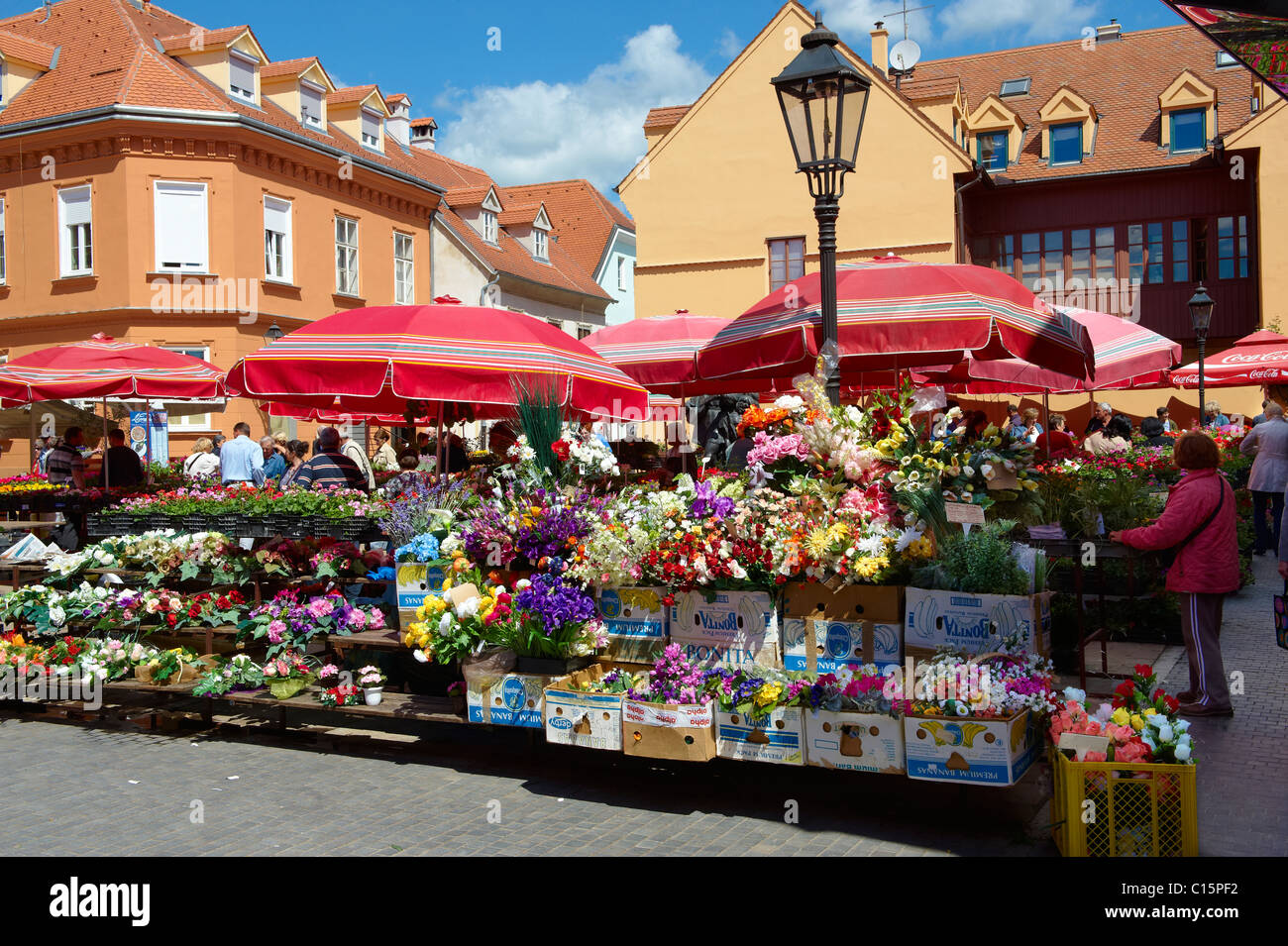 Dolac Frutta & Verdura [ Tržnica Dolac ] , Zagabria, Croazia Foto Stock