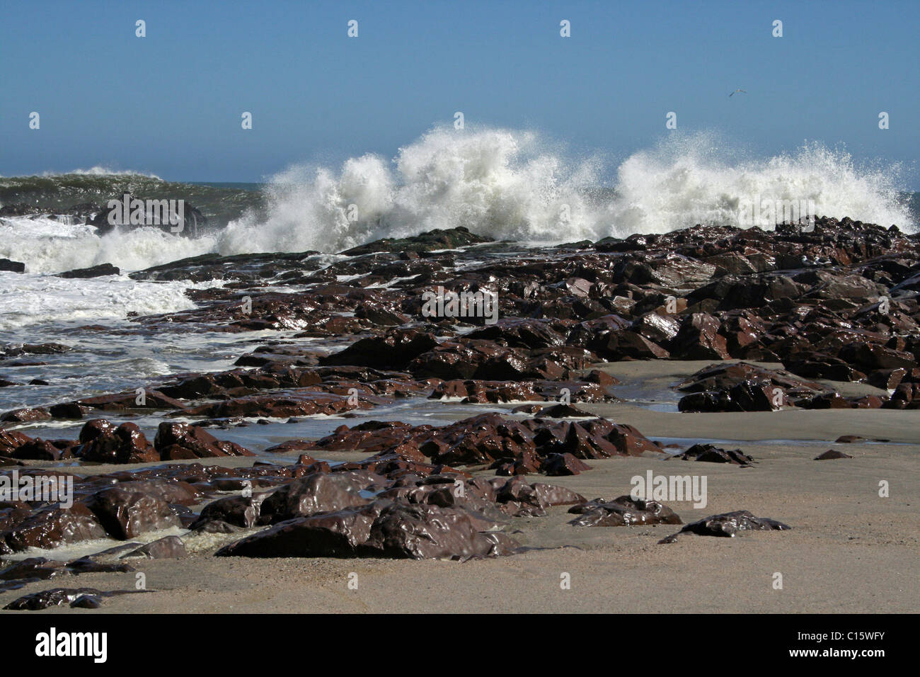 Le onde del mare e la spettacolare costa rocciosa di Cape Cross, Skeleton Coast, Namibia Foto Stock