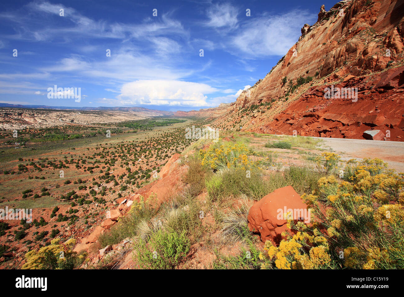Utah Highway 95 lungo il Comb Ridge Foto Stock