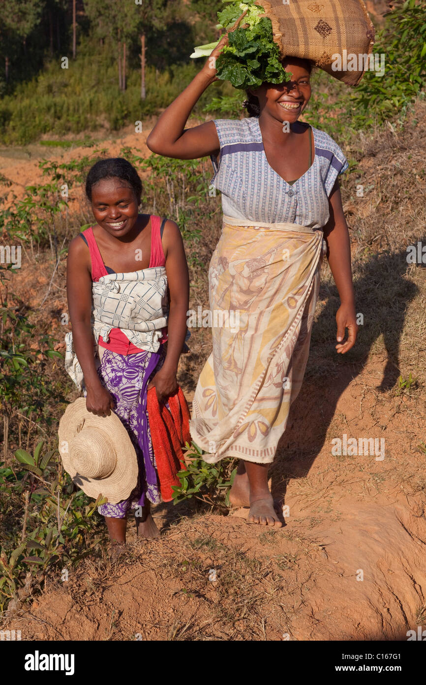 Le donne provenienti da lavorare nei campi tutto il giorno, portando coltivati vegetali. Nei pressi di Fianarantsoa. Madagascar meridionale. Foto Stock