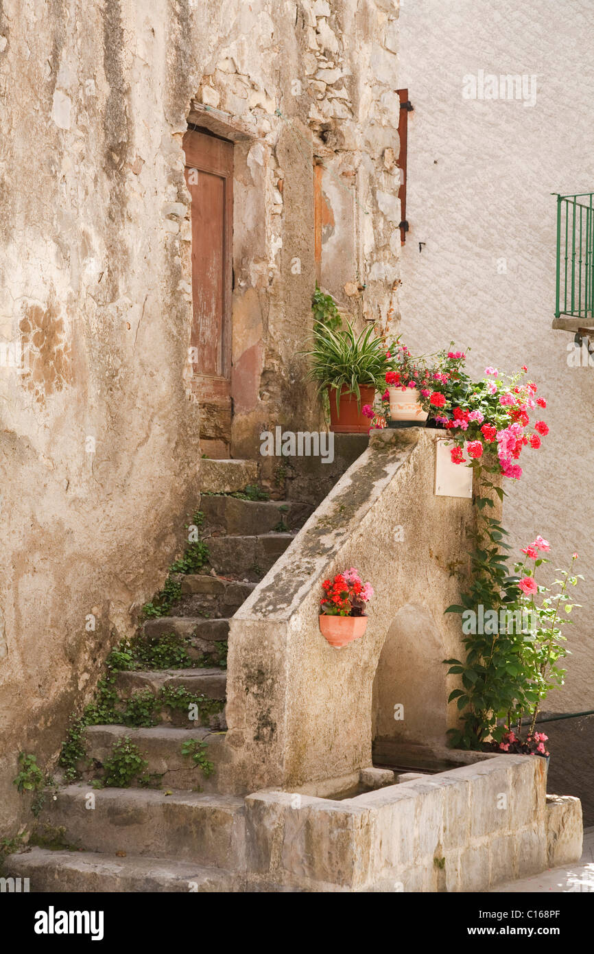 Gradini in pietra di una casa medioevale in Entrevaux, Francia Foto Stock