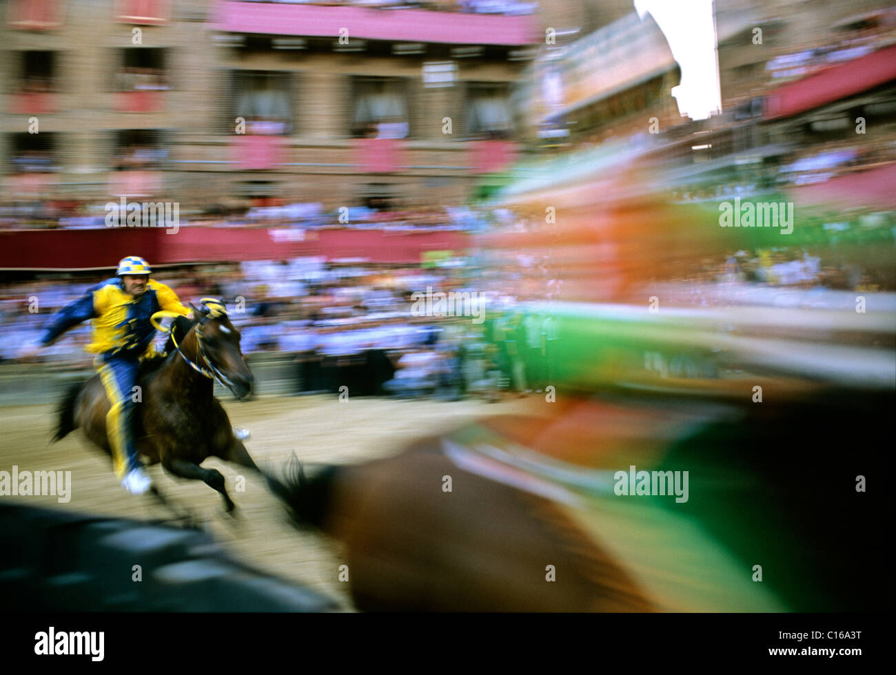 Palio storico cavallo di razza, a Piazza del Campo a Siena, Toscana, Italia, Europa Foto Stock