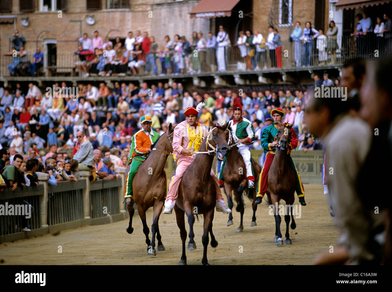 Palio storico cavallo di razza, a Piazza del Campo a Siena, Toscana, Italia, Europa Foto Stock