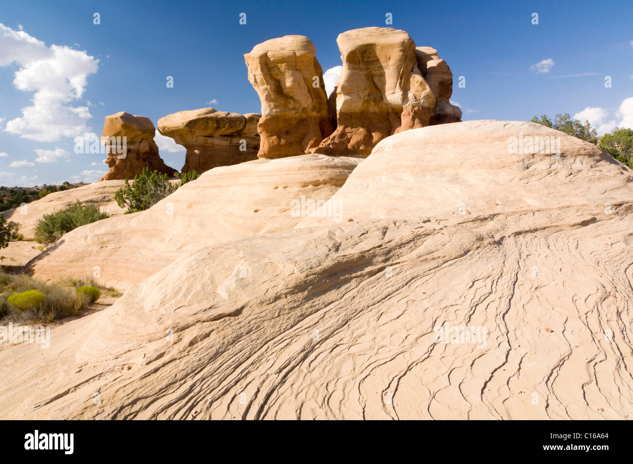 Formazioni di arenaria in Devils Garden, la grande scala Escalante National Monument, Utah, Stati Uniti d'America, America del Nord Foto Stock