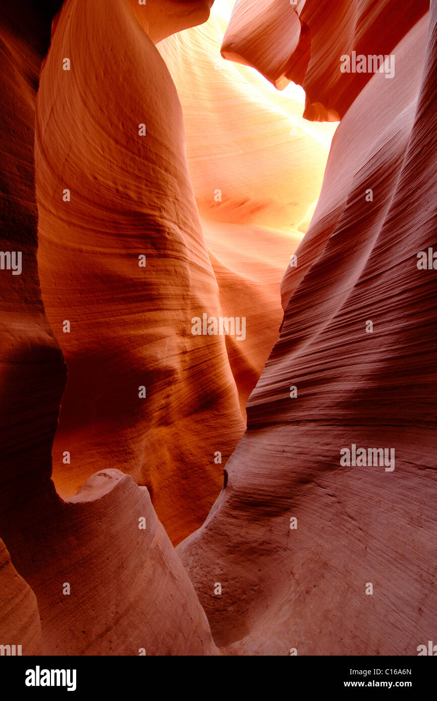 Slot Canyon di abbassare Antelope Canyon, il parco tribale Navajo, Pagina, Arizona, USA, America del Nord Foto Stock