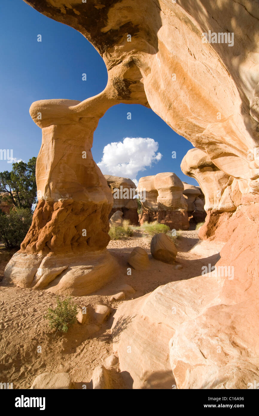 Metate Arch formazioni di arenaria nel giardino Devils, Grand Staircase-Escalante monumento nazionale, Utah, Stati Uniti d'America, America del Nord Foto Stock