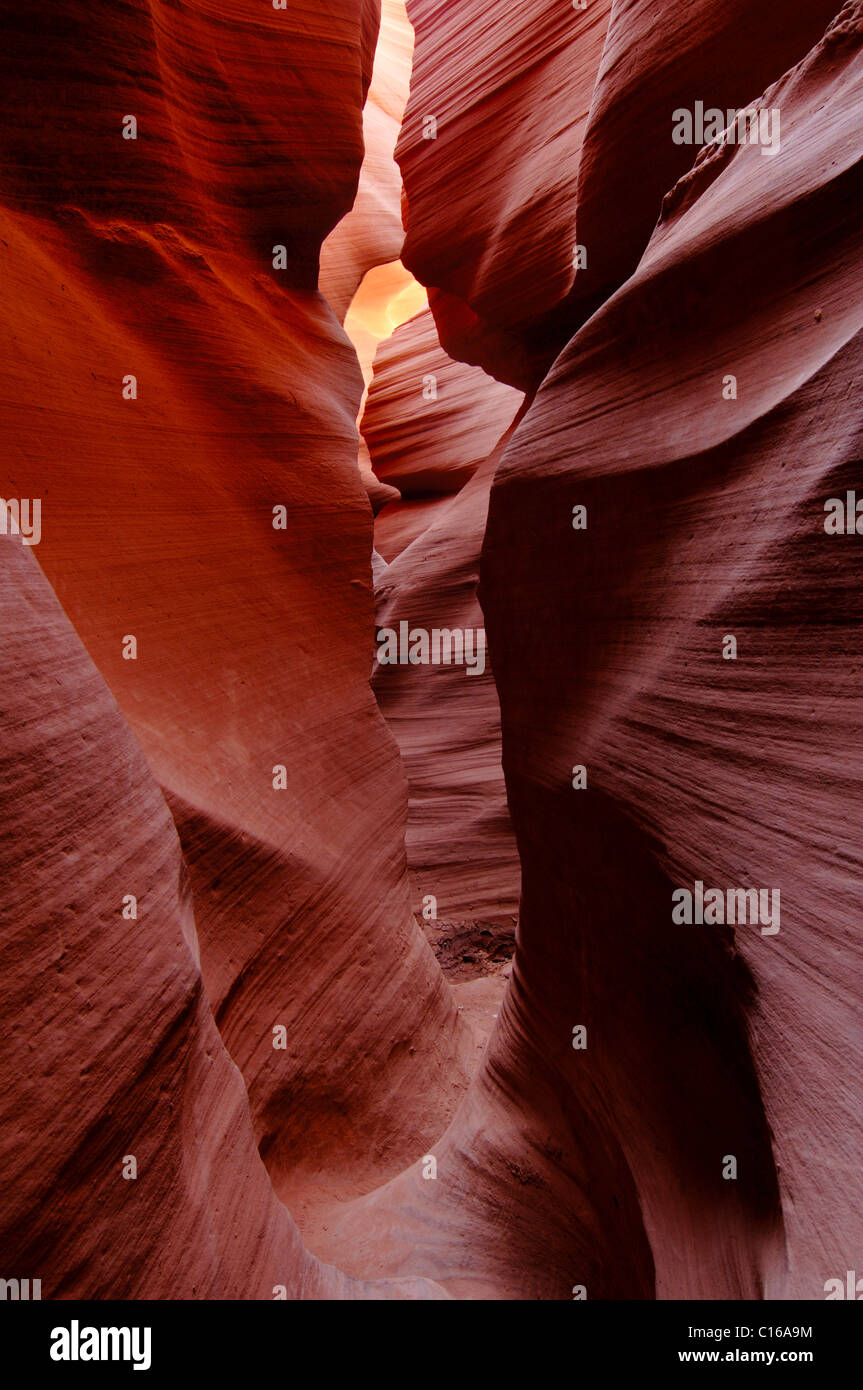 Slot Canyon di abbassare Antelope Canyon, il parco tribale Navajo, Pagina, Arizona, USA, America del Nord Foto Stock