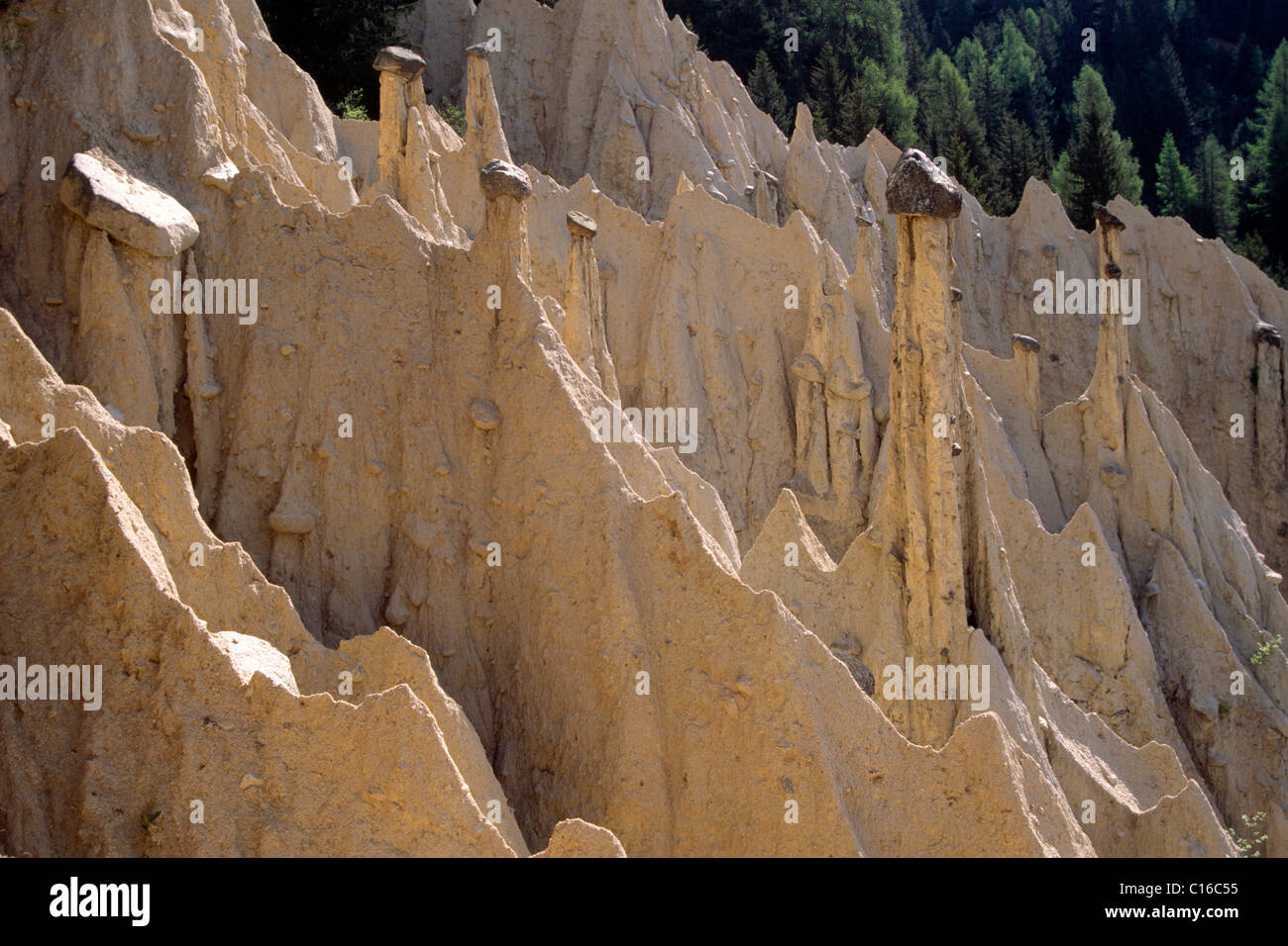 Piramidi di terra a Perca, Alto Adige, Italia, Europa Foto Stock