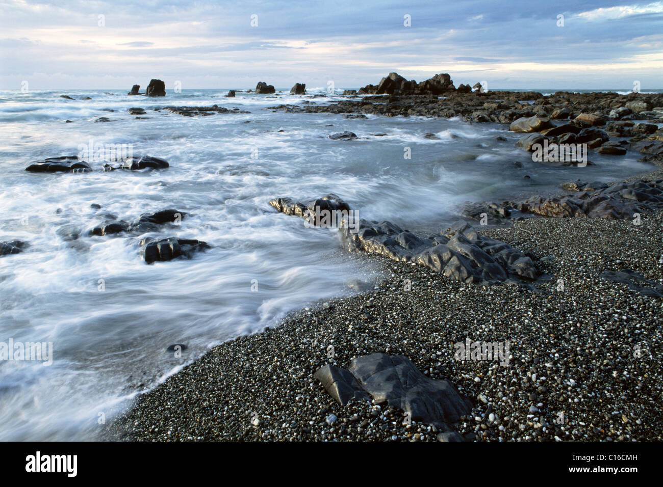 Interruttori sulla costa est, Isola del Sud, Nuova Zelanda Foto Stock