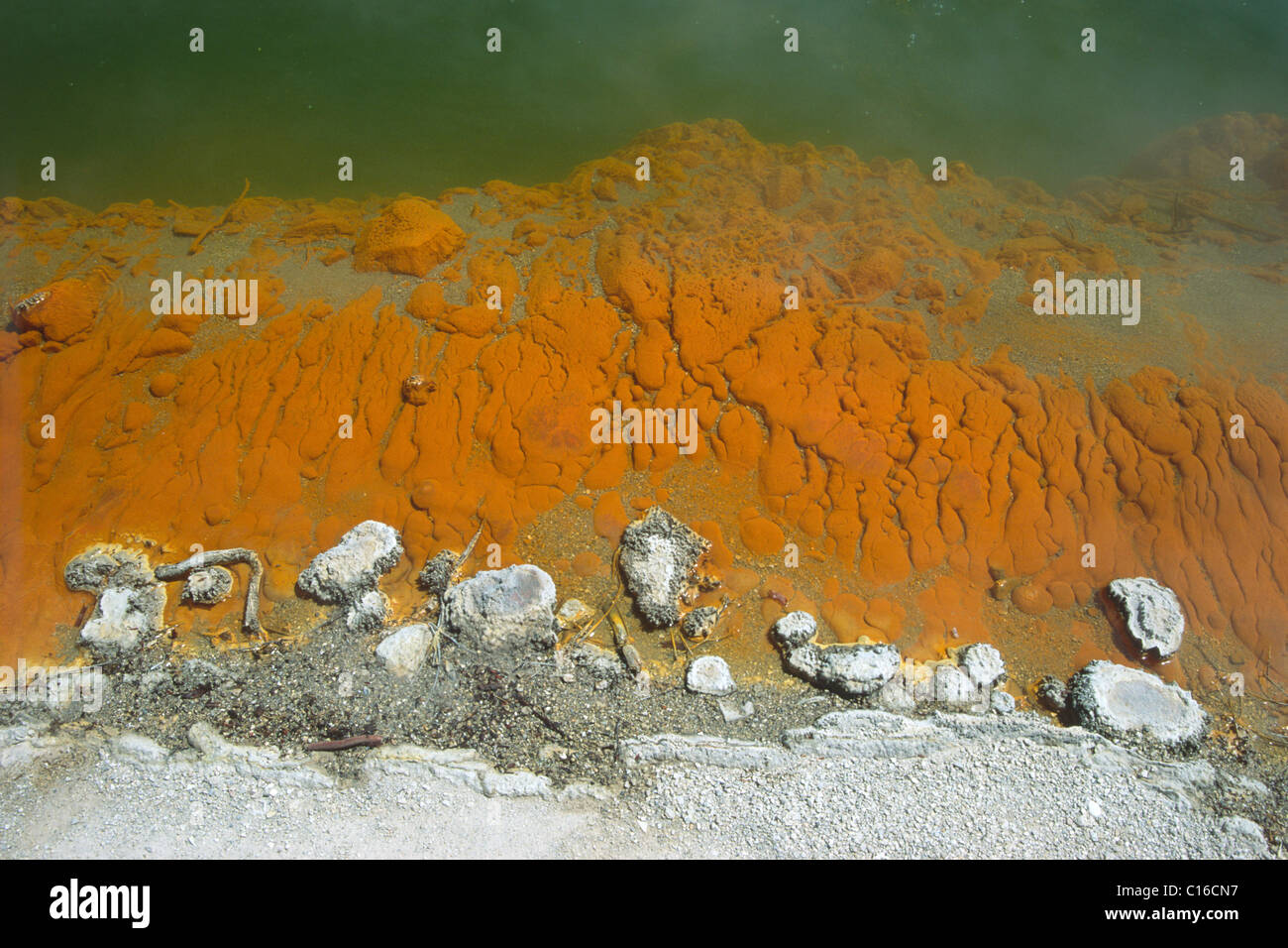 Pool di Champagne, dettaglio Wai-o-Tapu piscine termali, Rotorua, Isola del nord, Nuova Zelanda Foto Stock