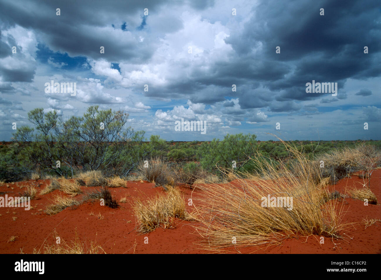 Nuvole temporalesche oltre l'outback, Australia occidentale, Australia Foto Stock