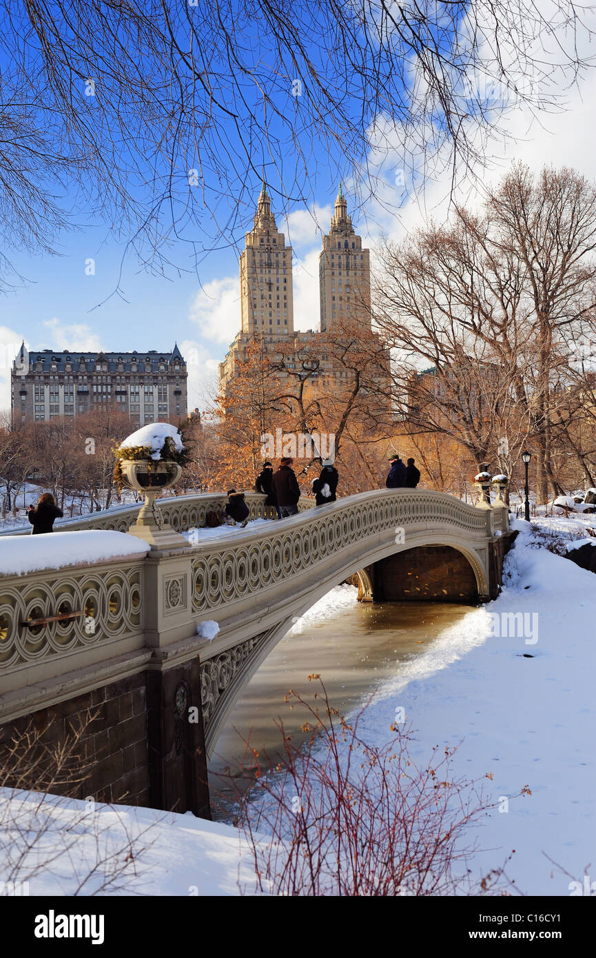 New York City Manhattan Central Park panorama in inverno con ghiaccio e neve sul lago con bridge, grattacieli e blu cielo nuvoloso Foto Stock
