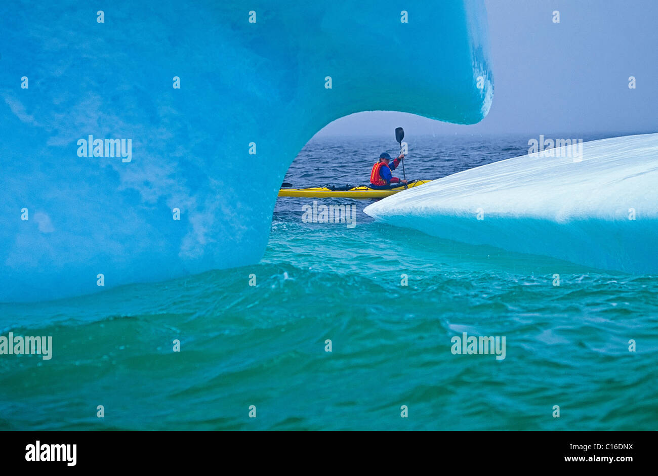 Conan Coates kayak intorno a un iceberg nell'Oceano Atlantico lungo il vicolo Iceberg al largo di Terranova Foto Stock