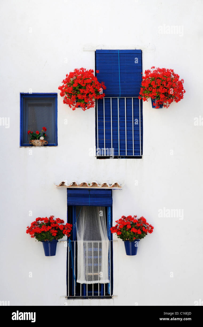 Fiore decorativo regime sulla facciata di una casa, Peniscola, Costa del Azahar, Castellon, Valencia, Spagna, Europa Foto Stock