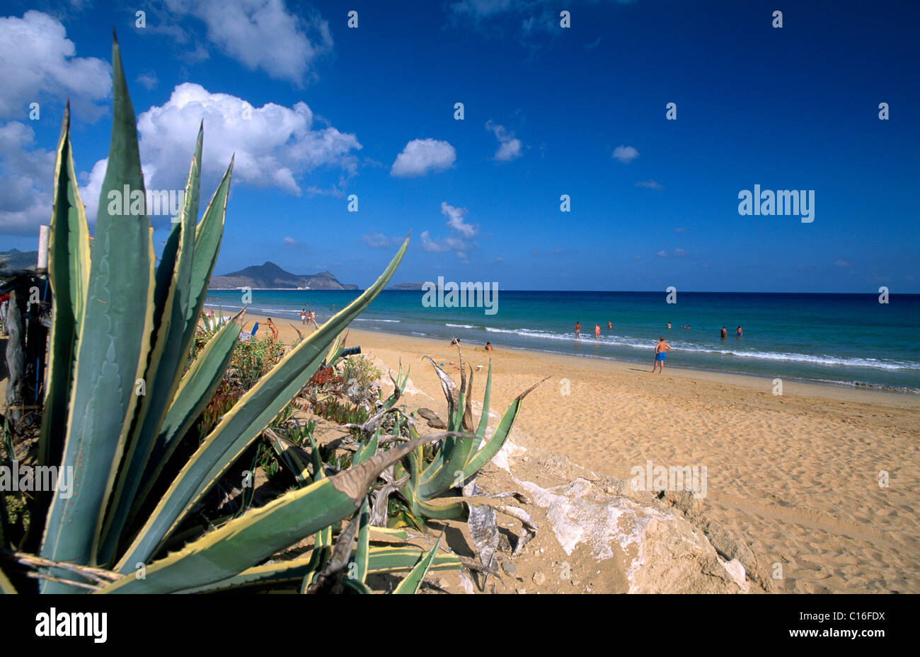 Spiaggia di sabbia sul Porto Santo Island, Madeira, Portogallo, Europa Foto Stock