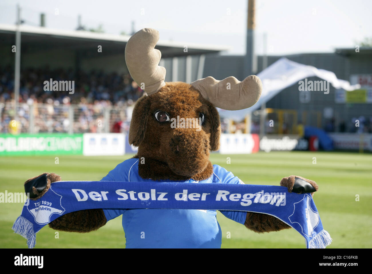 Il Mascot 'Hoffi' di Hoffenheim, calcio, seconda lega calcio tedesca, TSG Hoffenheim, TuS Koblenz, Dietmar-Hopp Stadium Foto Stock