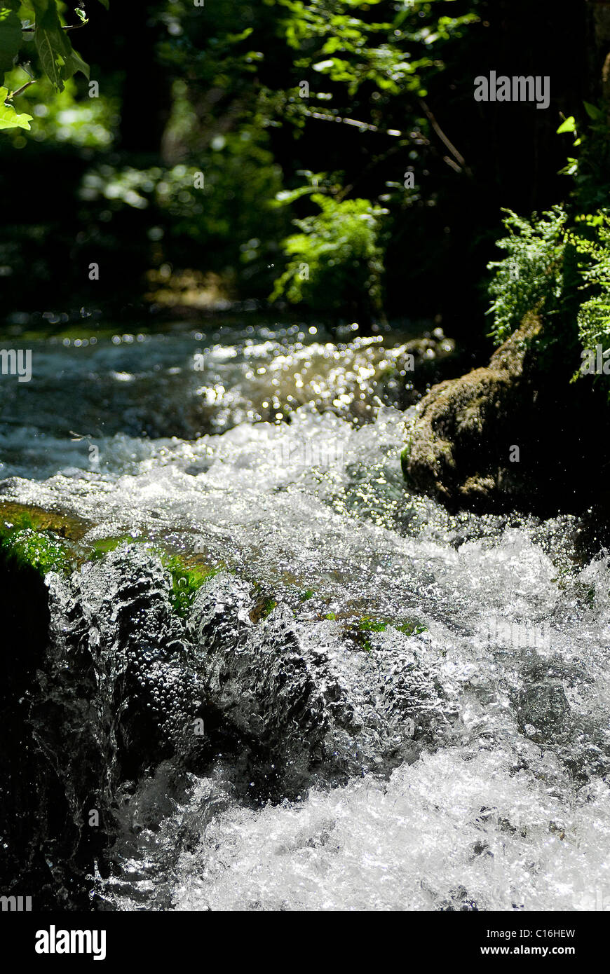 Cascata dettaglio Parco nazionale della Croazia, una piccola cascata e pietra Foto Stock