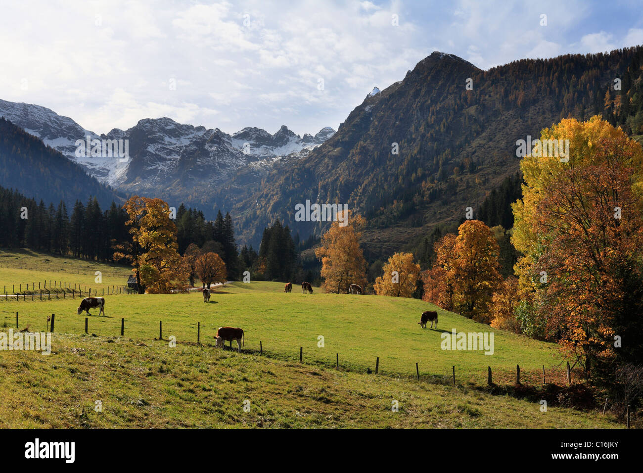 Seewigtal Valley in Schladminger Tauern, Stiria, Austria, Europa Foto Stock
