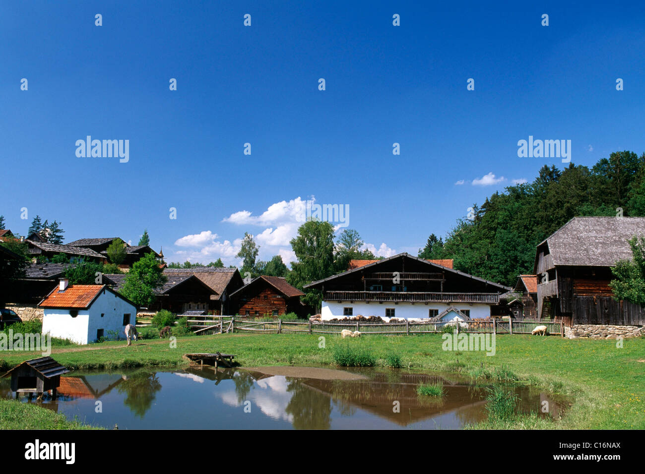 Tittling open-air Museum, Foresta Bavarese, in Baviera, Germania, Europa Foto Stock