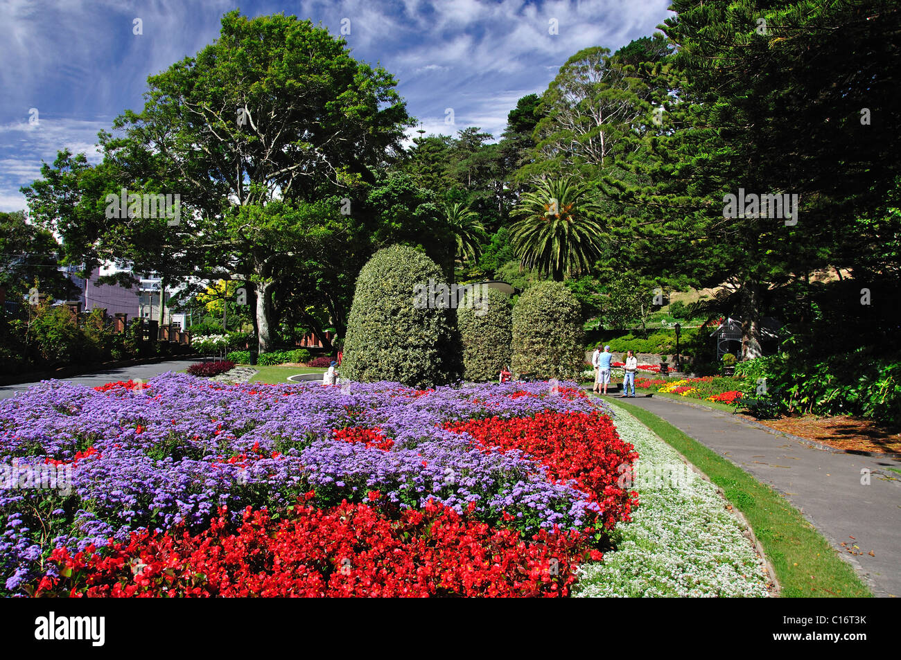 Colorate composizioni floreali, Wellington Botanic Garden, Wellington, Regione di Wellington, Isola del nord, Nuova Zelanda Foto Stock