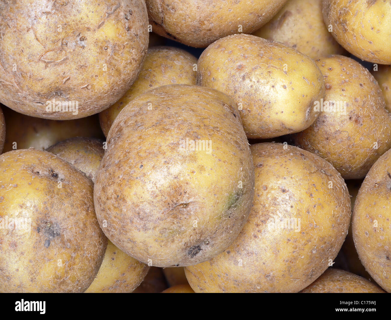 Vista dettagliata del mazzetto di materie di patate Foto Stock