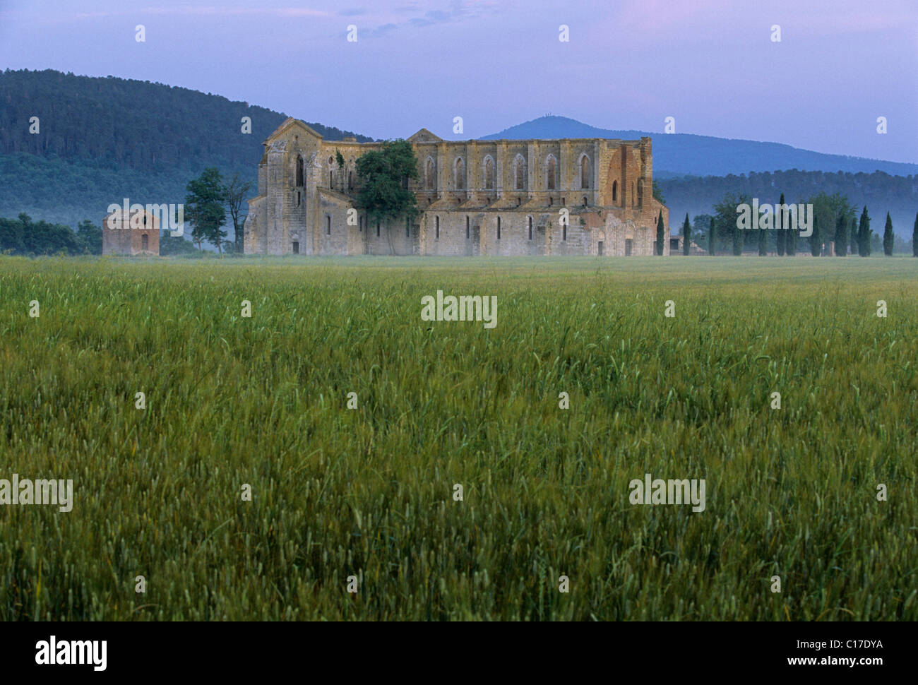 Basilica dell'Abbazia Cistercense Abbazia di San Galgano rovine vicino Chisudino, provincia di Siena, Toscana, Italia, Europa Foto Stock