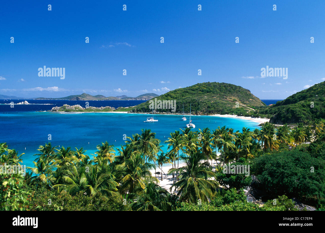 Alberi di palma su una spiaggia da Peter Island, Isole Vergini Britanniche, Isole dei Caraibi Foto Stock