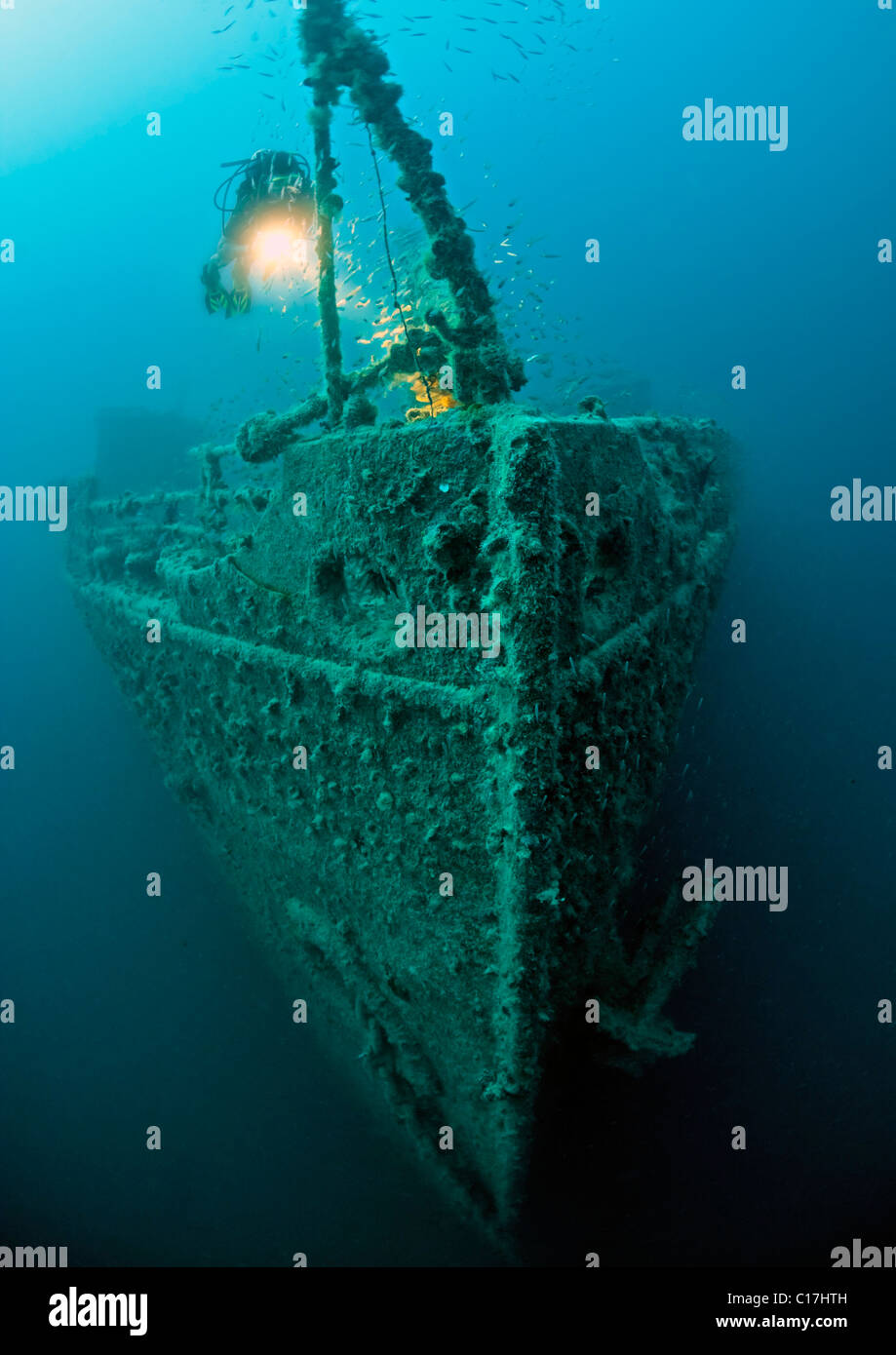 Un subacqueo del fascio di torcia evidenzia il glassfish sulla prua del Rosalie Moller naufragio nel Mare Rosso Golfo di Suez.. Foto Stock