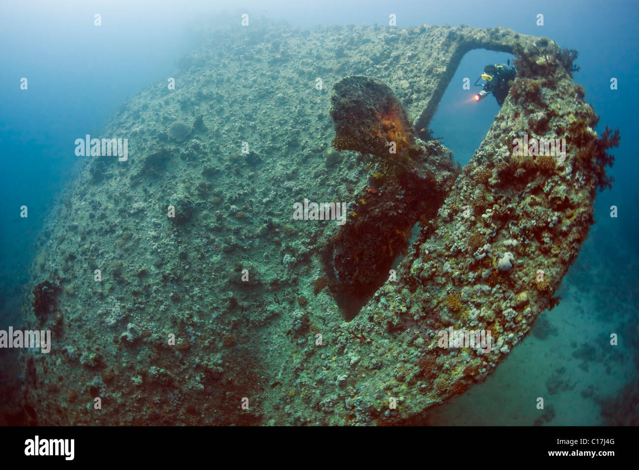 Un subacqueo brilla la propria torcia sull'elica del Dunraven naufragio sulla punta meridionale del Sinai nel Mar Rosso egiziano. Foto Stock