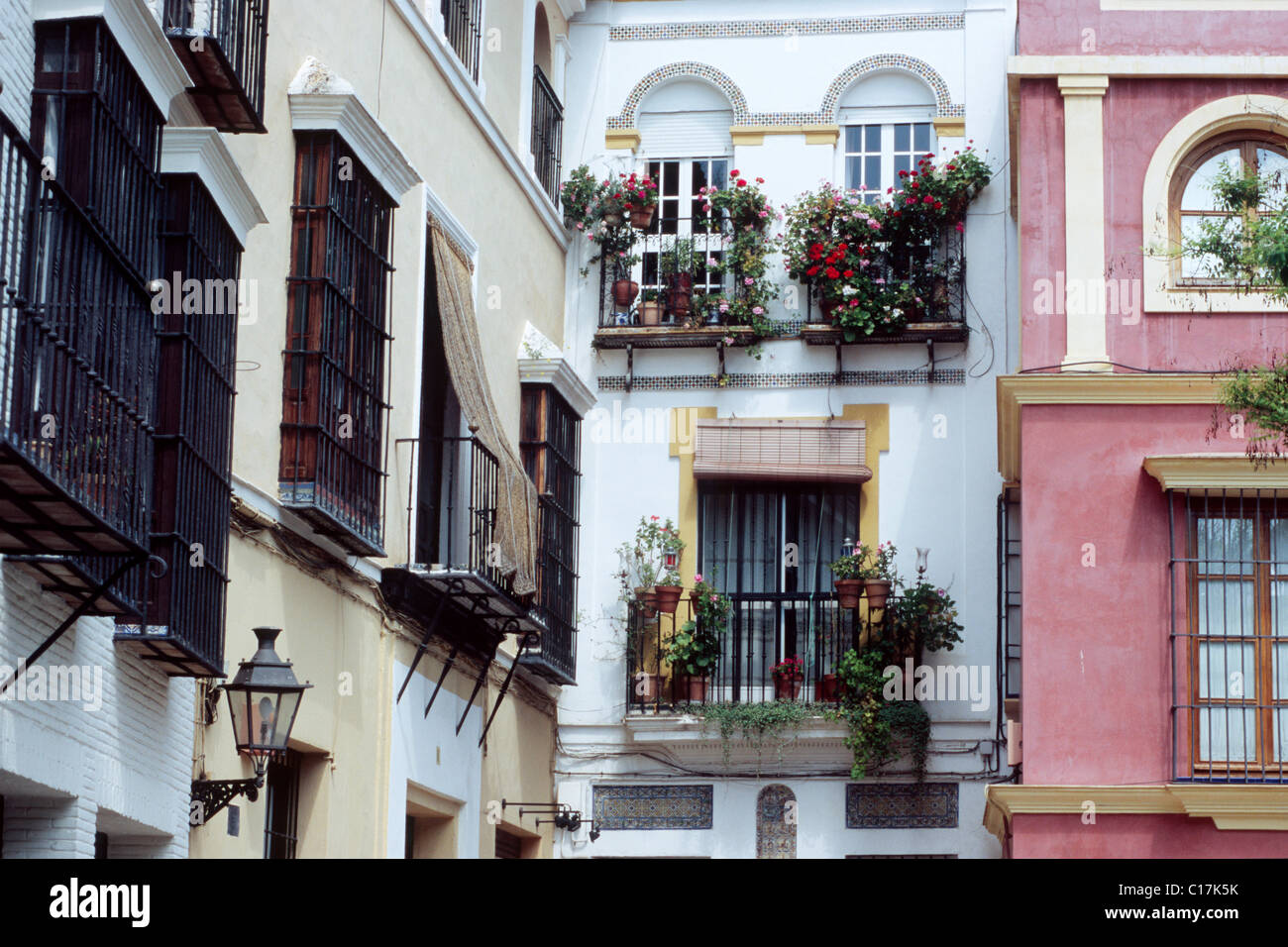 Facciate a Siviglia, in Andalusia, Spagna, Europa Foto Stock