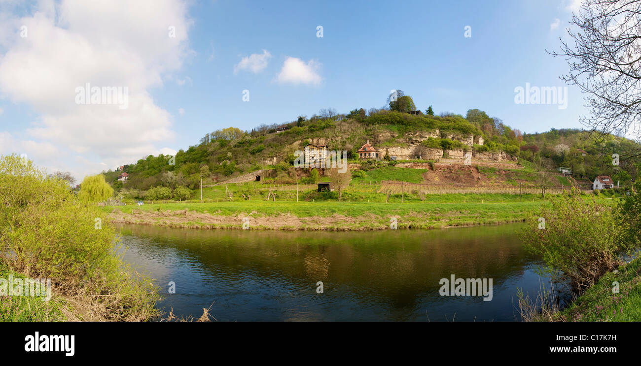 Vista panoramica del fiume Saale e vigneti vicino a Naumburg. Foto Stock