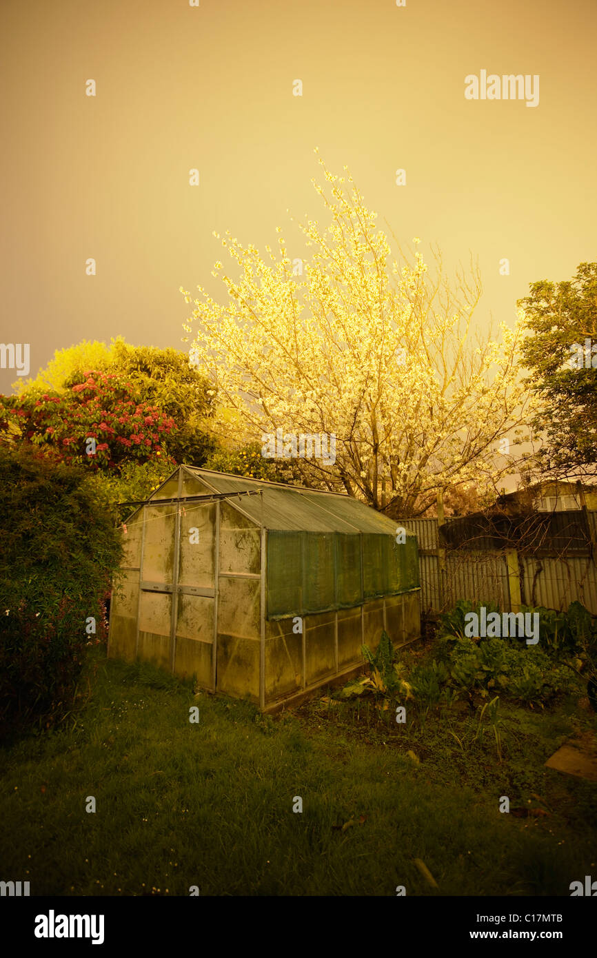 Giardino notturno. Una lunga esposizione al tramonto del giardino sul retro con serra. Foto Stock