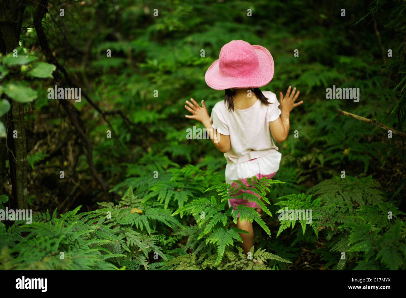 Bambina di cinque anni si aggira attraverso le felci in legno Foto Stock