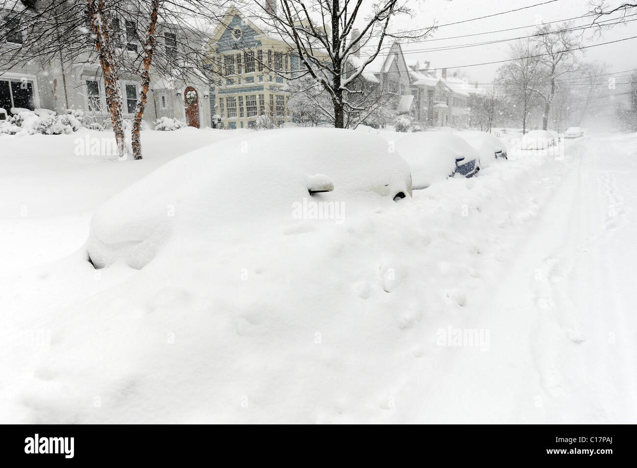 2011 Gennaio blizzard in New Haven, che vide nevicata record per il mese di gennaio. Foto Stock