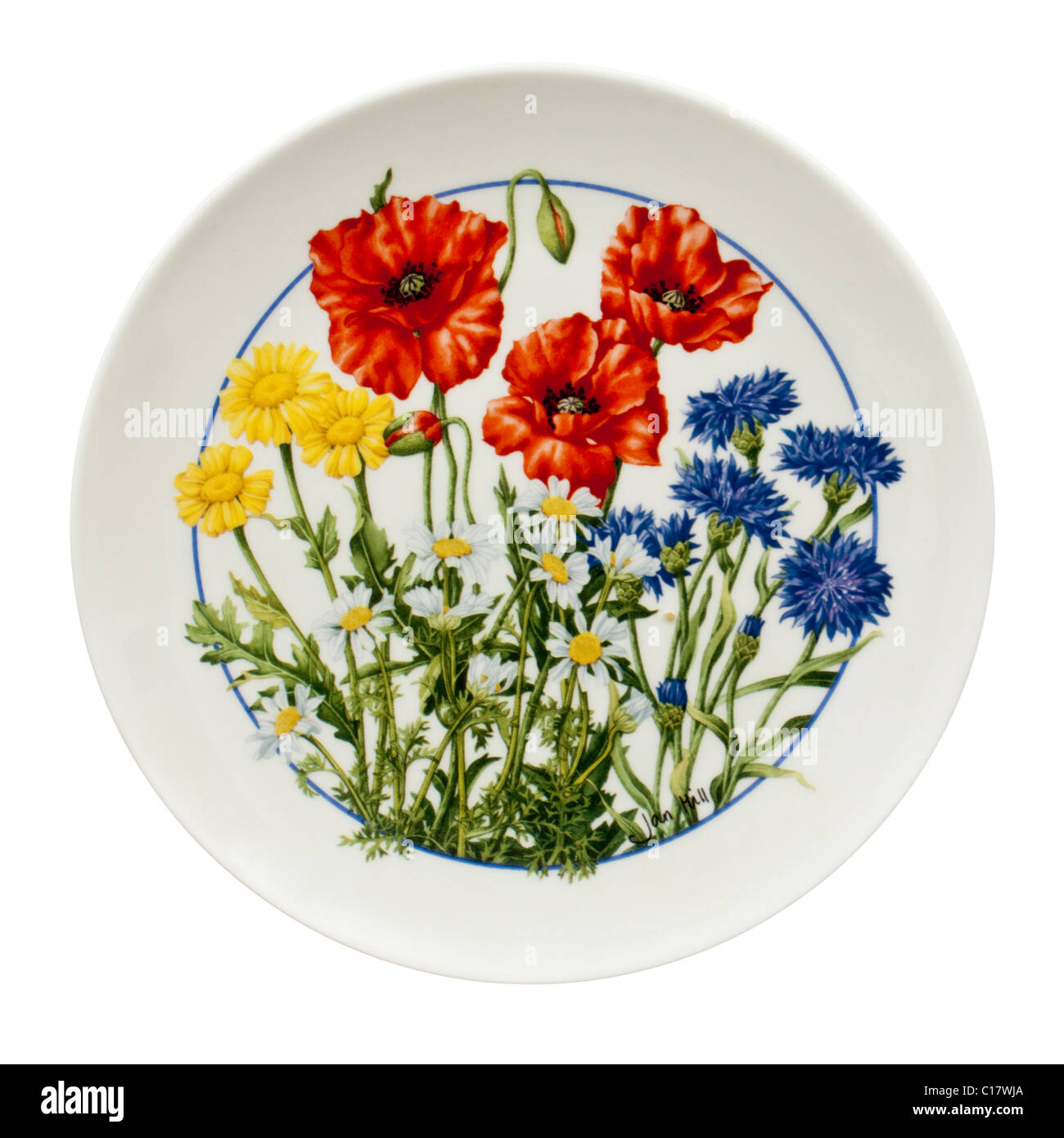 Royal Doulton piastra di porcellana Foto Stock