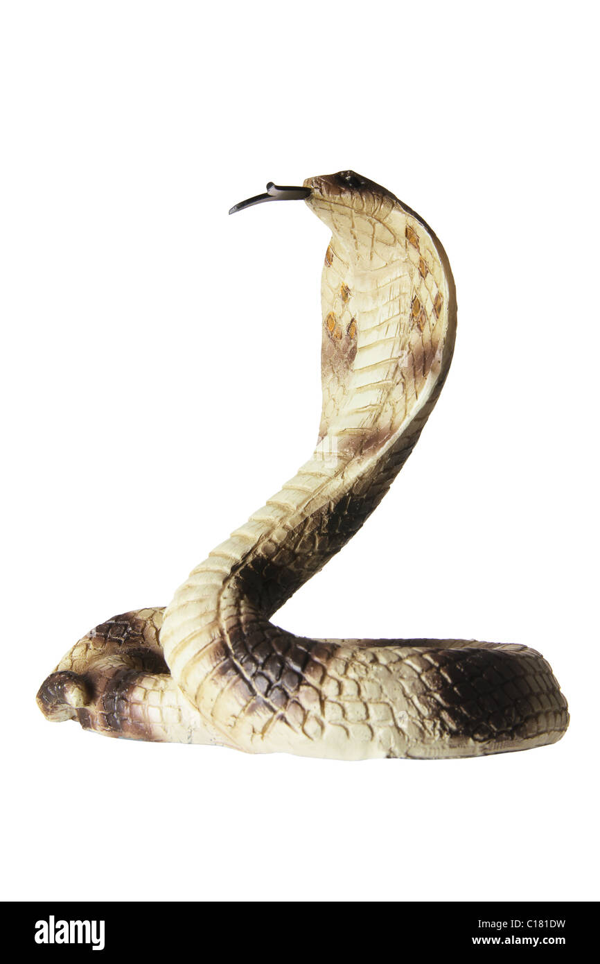 Cobra di gomma Foto Stock