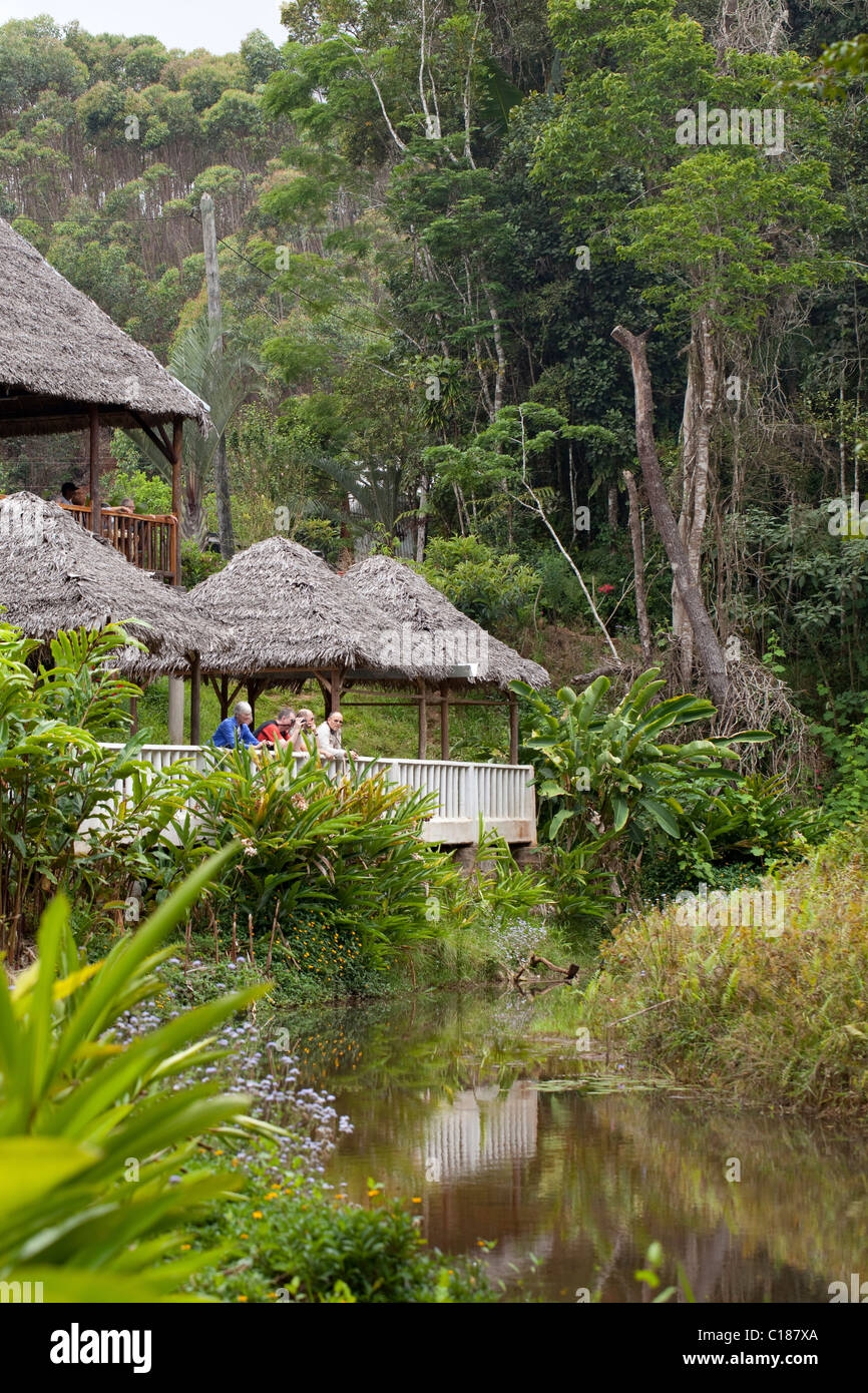 Andasibe-Mantadia Parco Nazionale. Uno dei tre alberghi per i turisti. La foresta pluviale. Est del Madagascar. Foto Stock