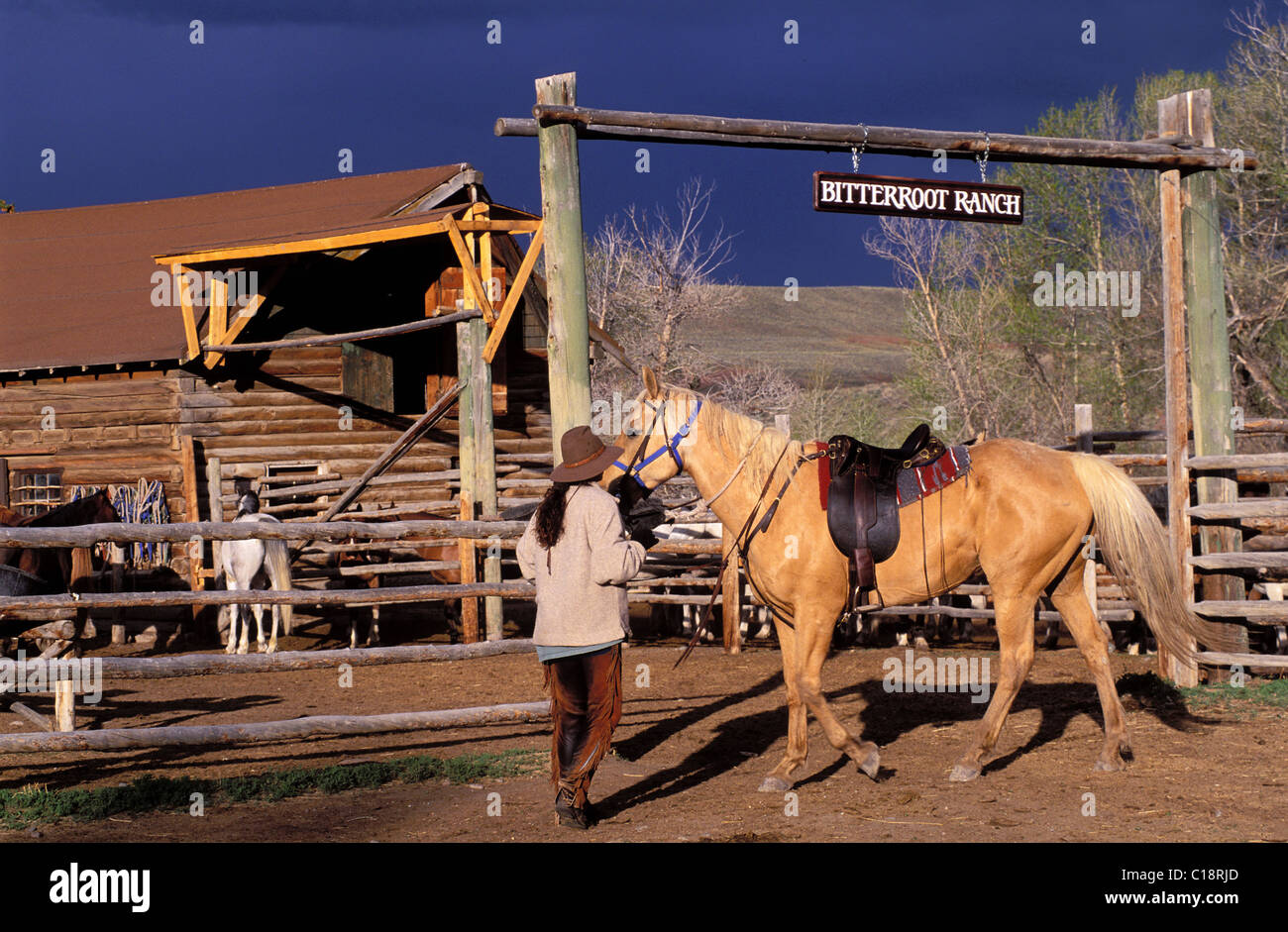 Stati Uniti, Wyoming Dubois, dude ranch Bitterroot Ranch Foto Stock