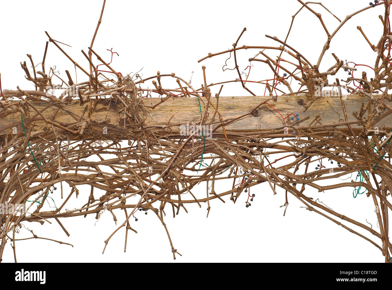 Autunno vitigni di arrampicata su una recinzione di legno Foto Stock